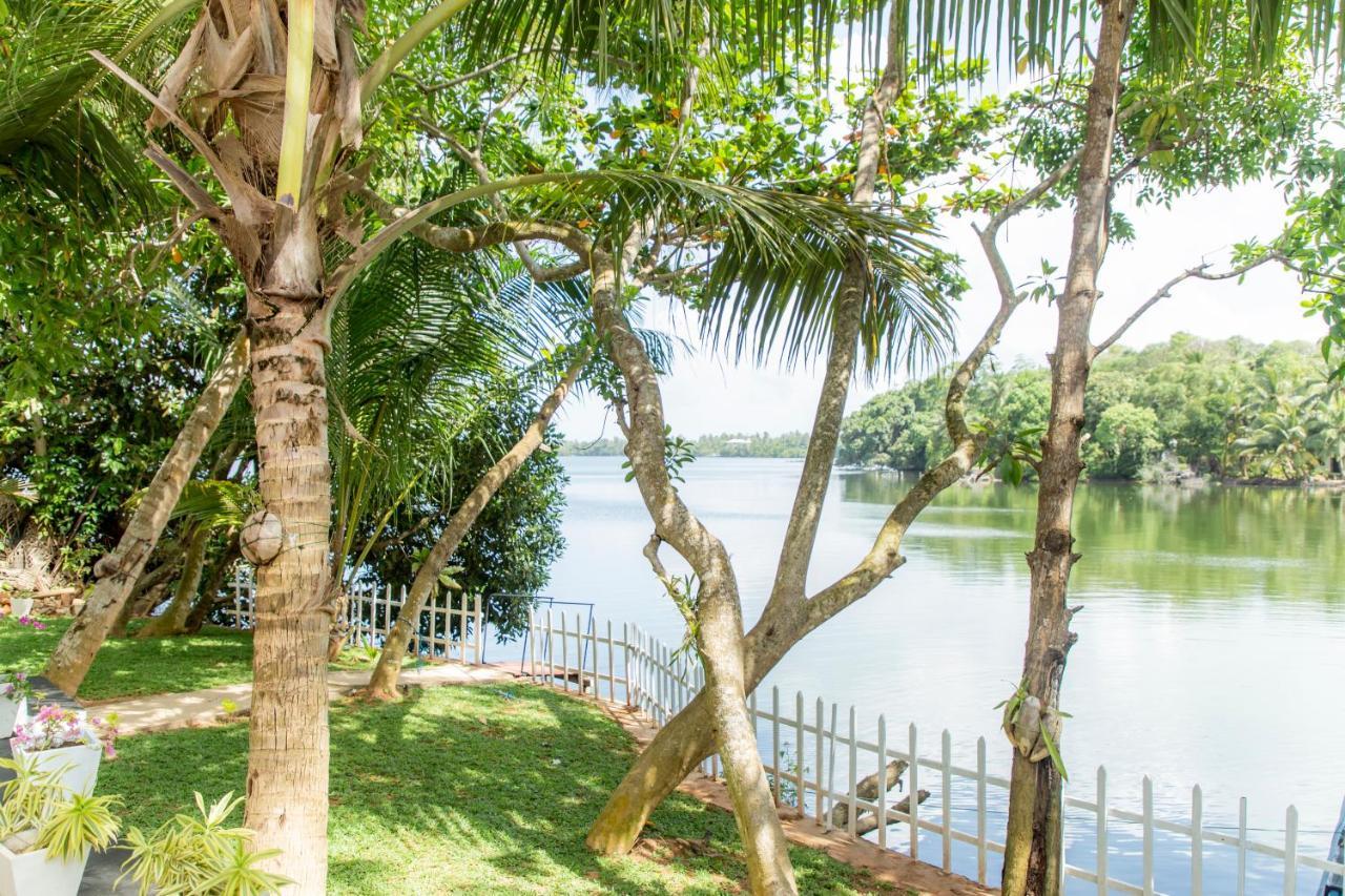 Scenery River Star Hotel Hikkaduwa Extérieur photo